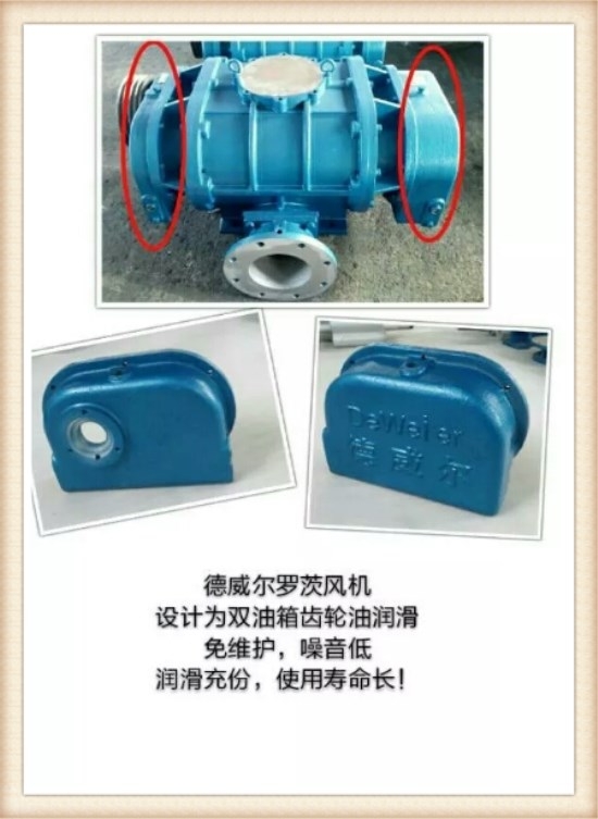 不銹鋼羅茨風機設(shè)計為雙油箱